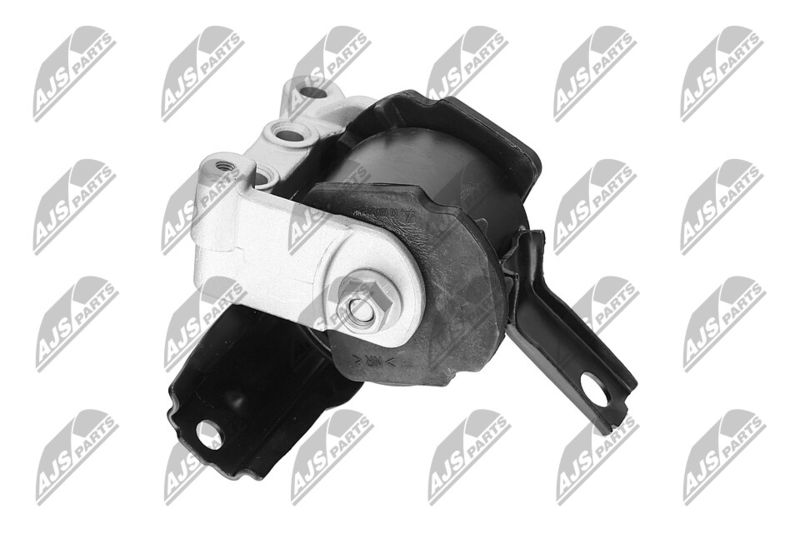 Paigutus, Mootor, NTY ZPS-CH-071