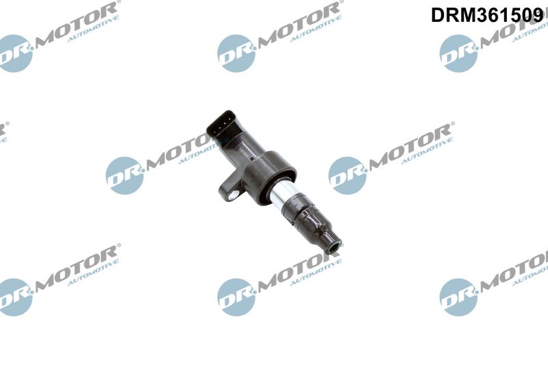 Dr.Motor Automotive Ritė, uždegimas