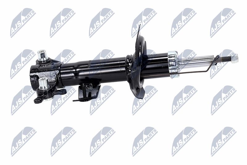 Amort, NTY A-NS-016