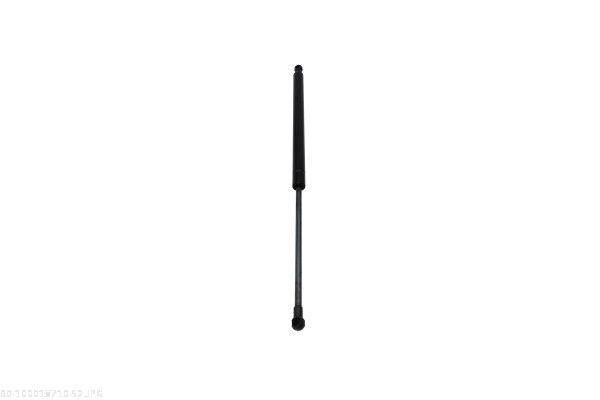 AUTOMEGA 100018710 Gas Spring, boot/cargo area