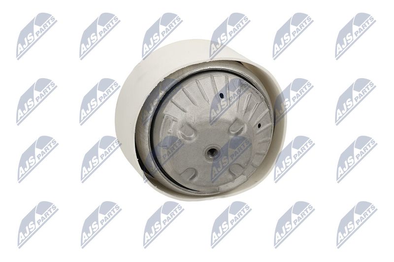 Paigutus, Mootor, NTY ZPS-ME-109