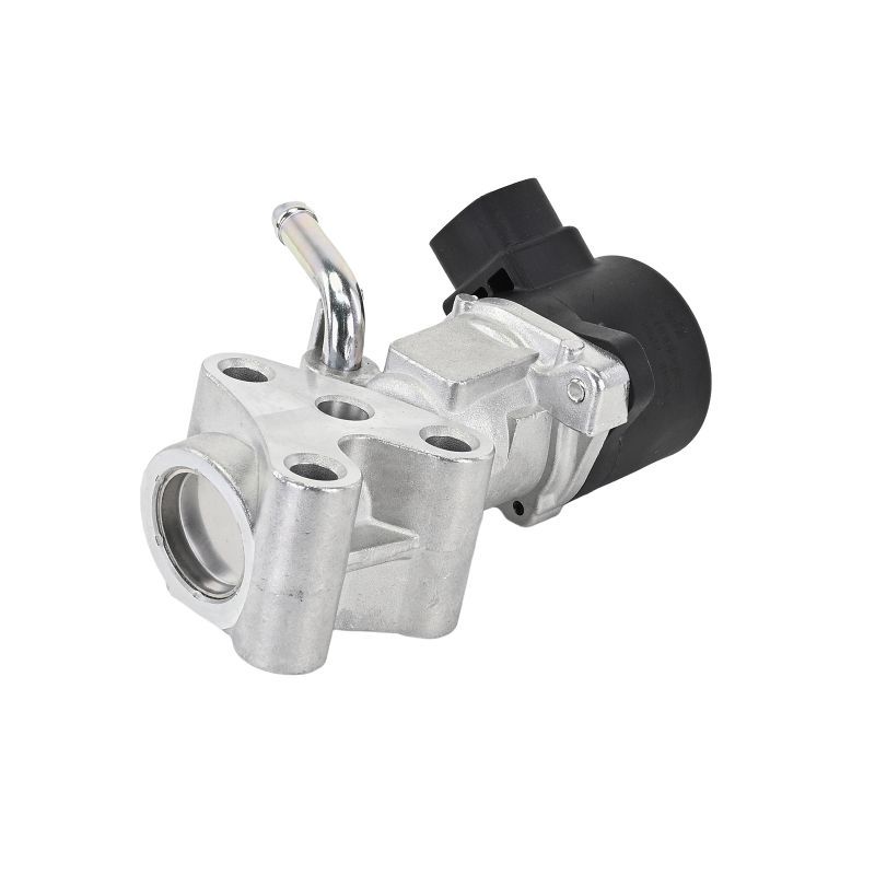 AGR-VENTIL DELPHI EG1053212B1 11