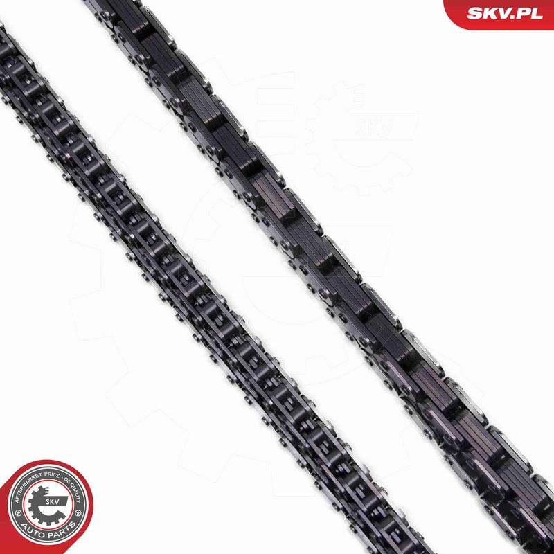 ESEN SKV 21SKV268 Timing Chain Kit
