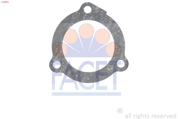 7.9572-FA.JPG