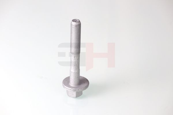 GH GH-399901 Camber Correction Screw