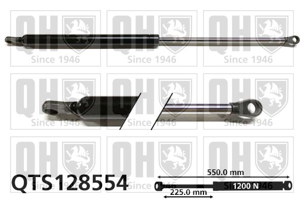 QH_QTS128554.JPG