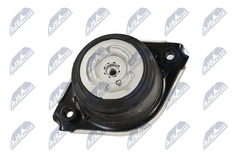 Paigutus, Mootor, NTY ZPS-ME-074