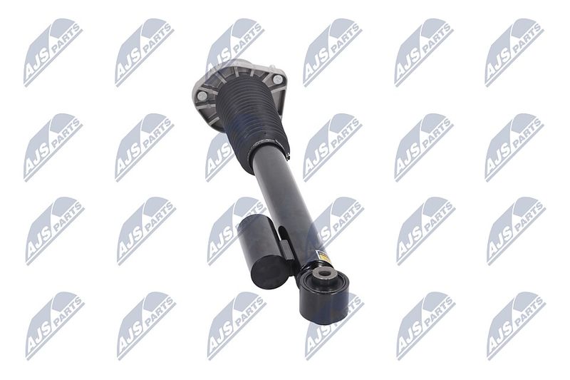 Amort, NTY A-LR-020