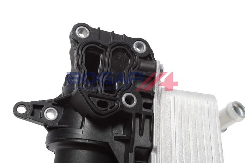 Prekė atitinka OEM kodą: 2465010101