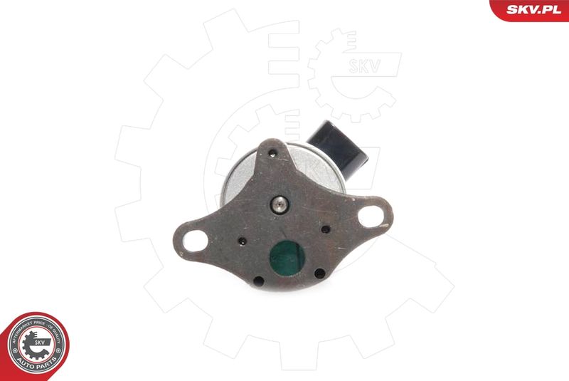ESEN SKV 14SKV041 EGR Valve