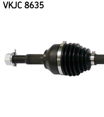VKJC 8635_2.JPG