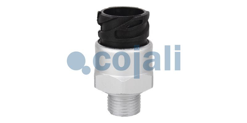 Senzor COJALI 2260269
