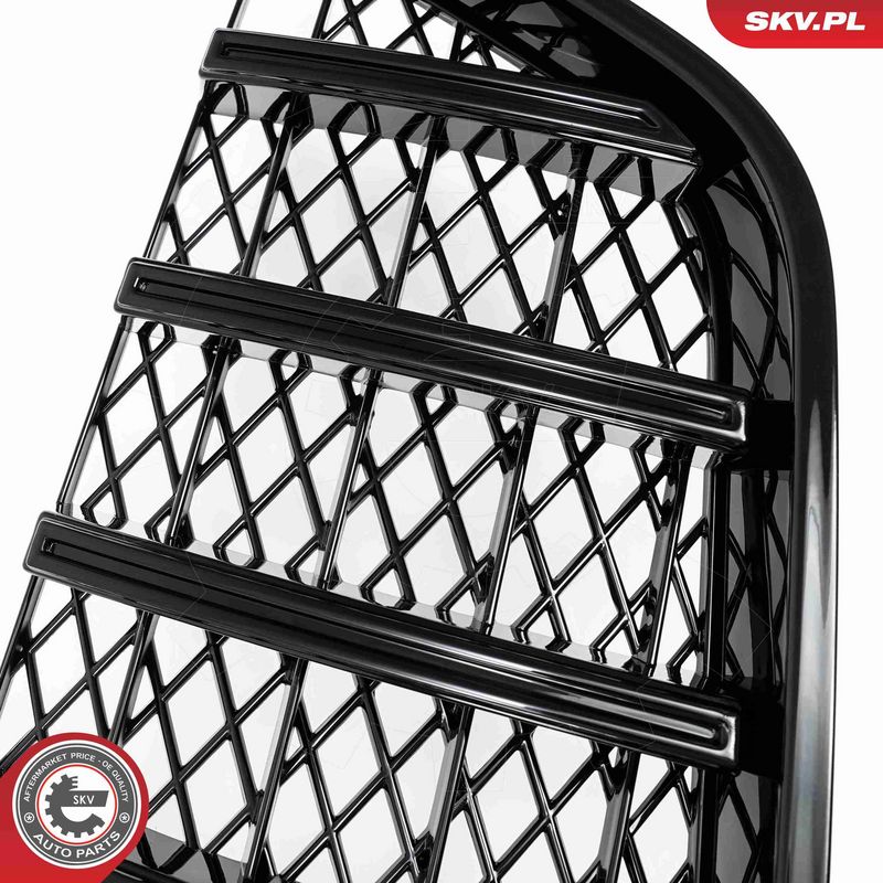 ESEN SKV 66SKV542 Radiator Grille