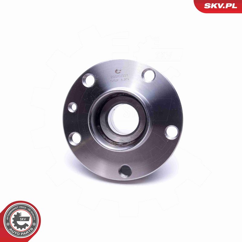 ESEN SKV 29SKV331 Wheel Bearing Kit