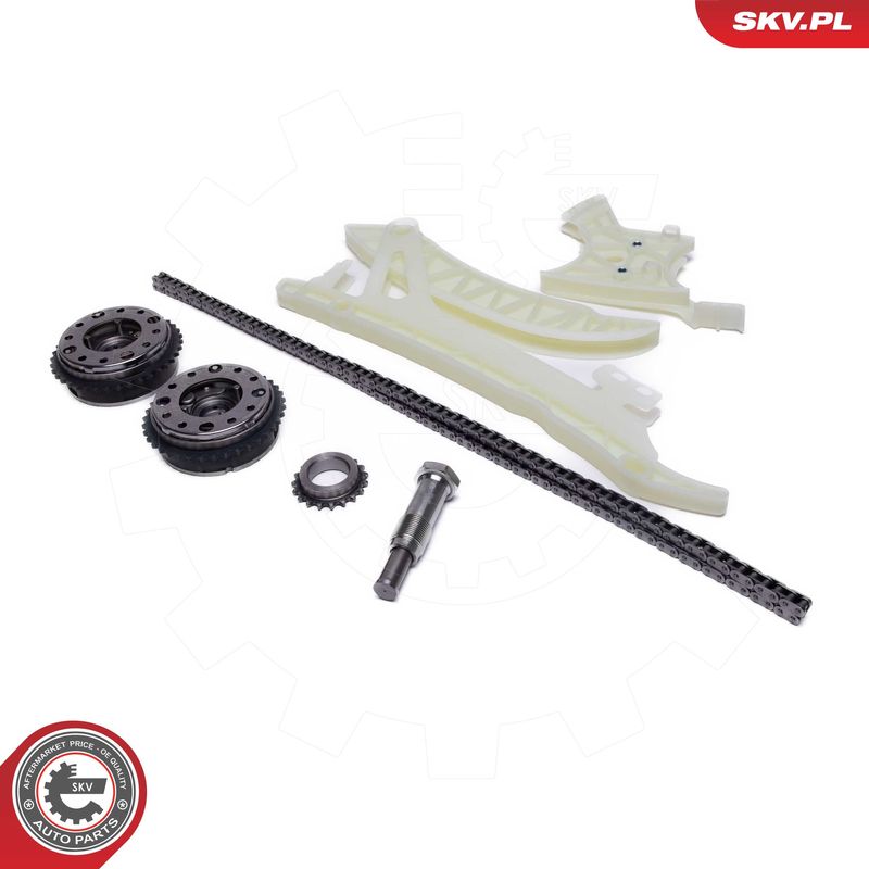 ESEN SKV 21SKV256 Timing Chain Kit