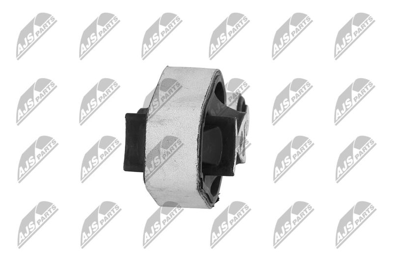 Paigutus, Mootor, NTY ZPS-PE-021