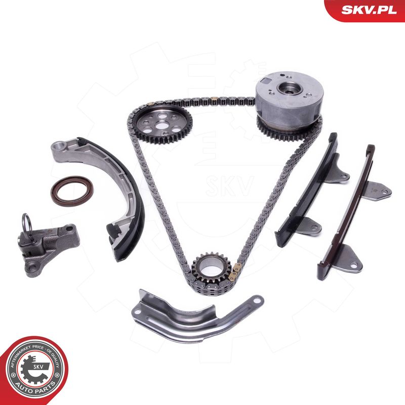 ESEN SKV 21SKV259 Timing Chain Kit