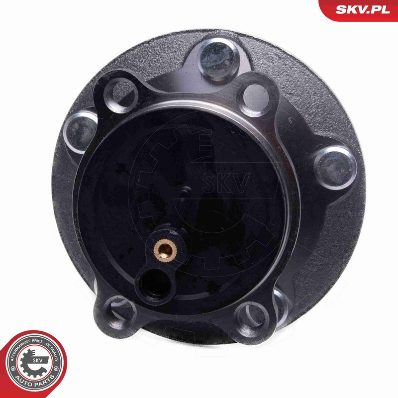 ESEN SKV 29SKV615 Wheel Bearing Kit