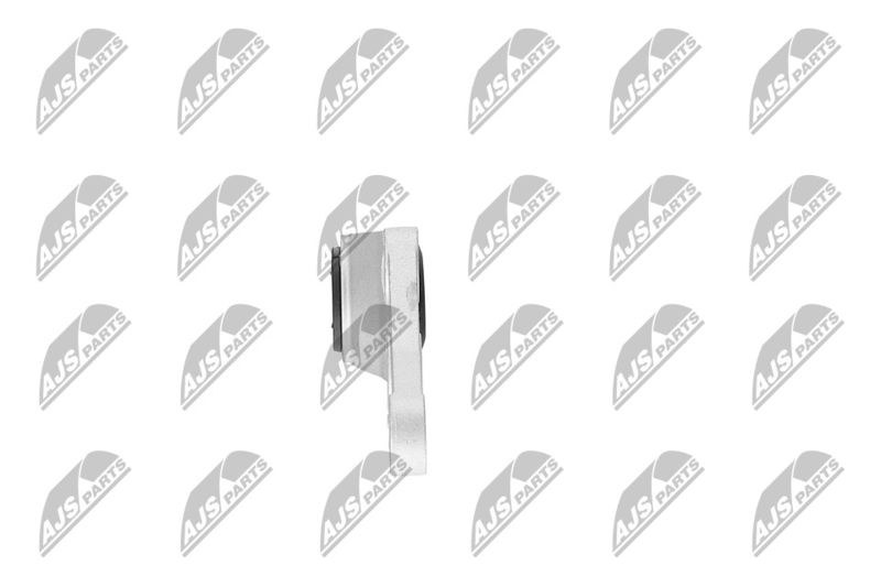 Paigutus, Mootor, NTY ZPS-CH-124