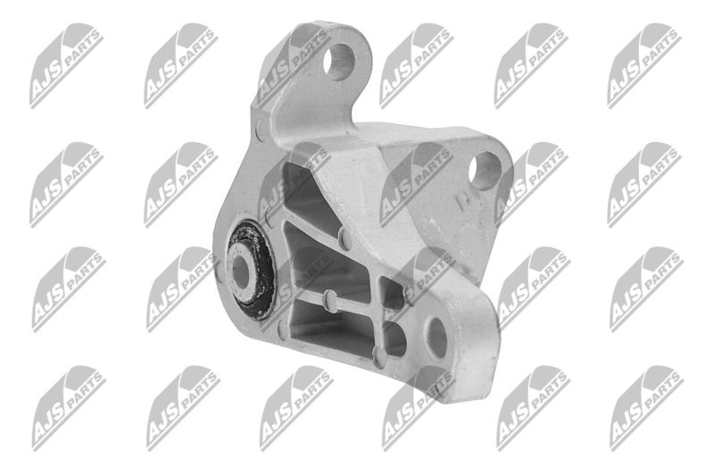 Paigutus, Mootor, NTY ZPS-FR-066