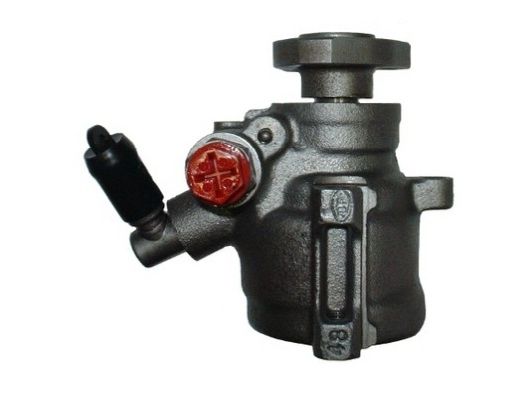 SPIDAN 53517 Hydraulic Pump, steering