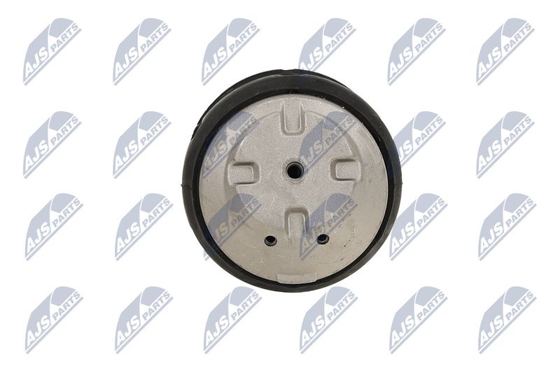 Paigutus, Mootor, NTY ZPS-ME-083