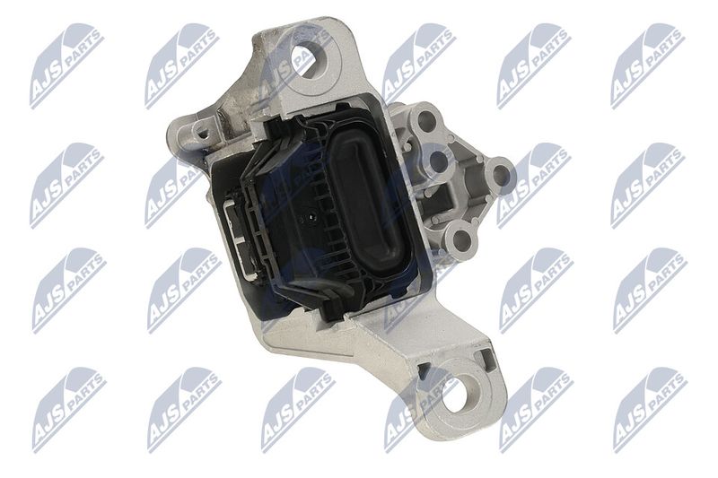 Paigutus, Mootor, NTY ZPS-FR-069