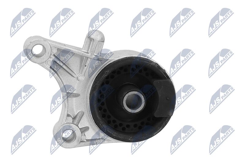 Paigutus, Mootor, NTY ZPS-PL-036