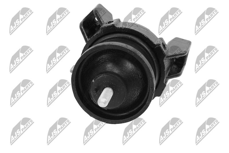 Paigutus, Mootor, NTY ZPS-HY-535