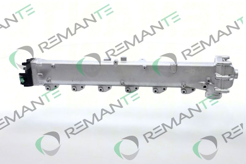 REMANTE 010-001-000005R - EGR Module
