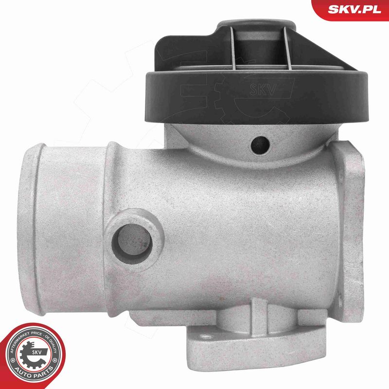 ESEN SKV 14SKV298 EGR Valve