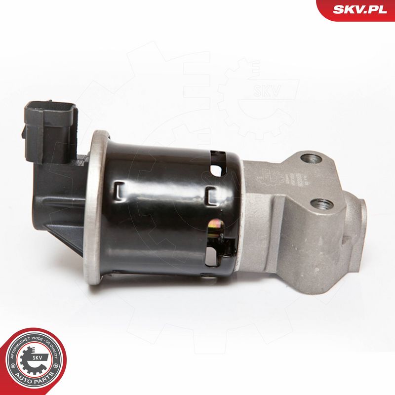 ESEN SKV 14SKV059 EGR vožtuvas