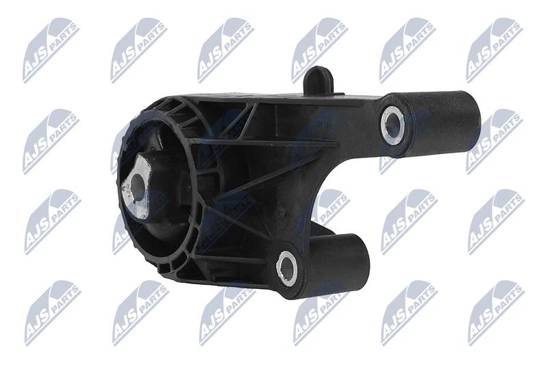 Paigutus, Mootor, NTY ZPS-PL-057