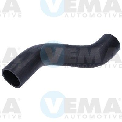 VE55952.JPG