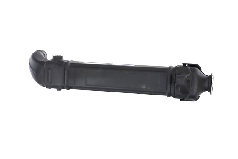 REMANTE 010-001-000025R EGR Module
