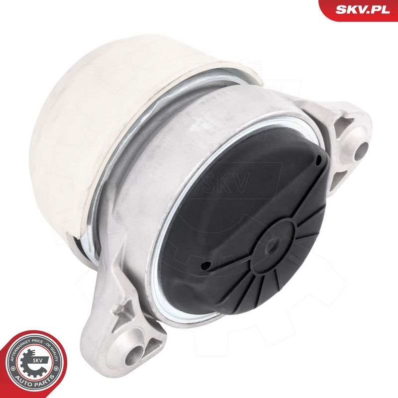 Paigutus, Mootor, ESEN SKV...