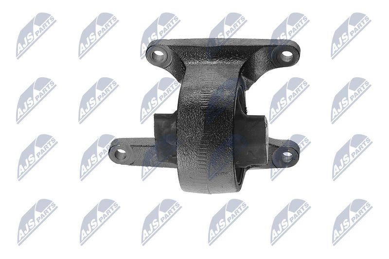 Paigutus, Mootor, NTY ZPS-CH-008