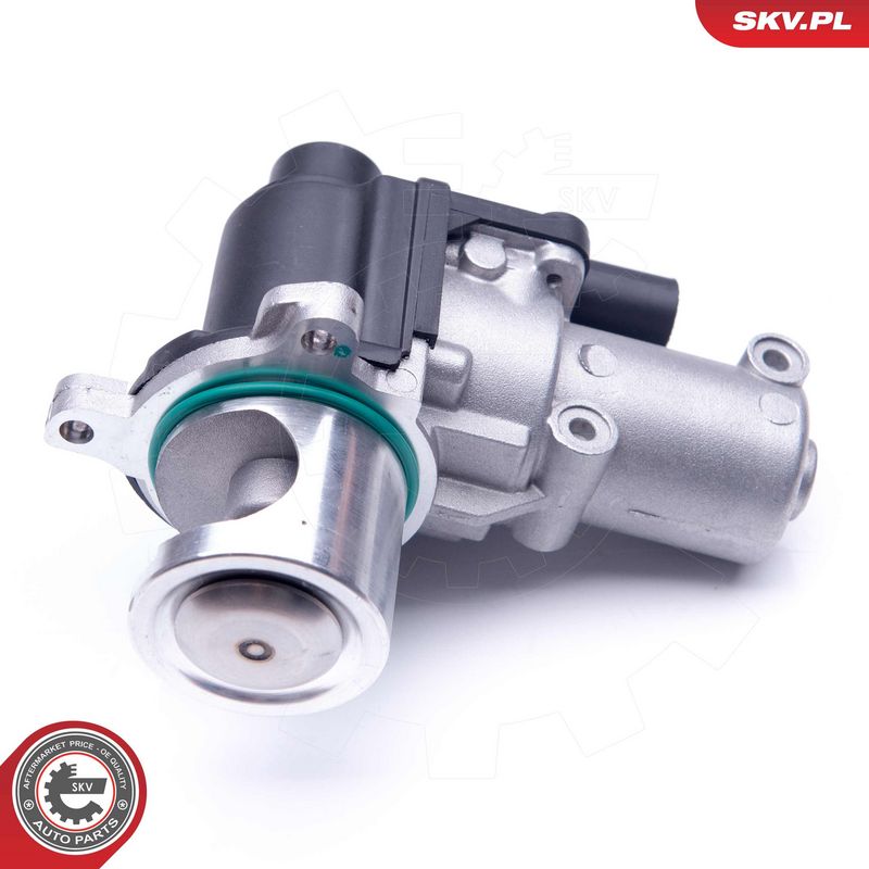 EGR-klapp, ESEN SKV 14SKV164