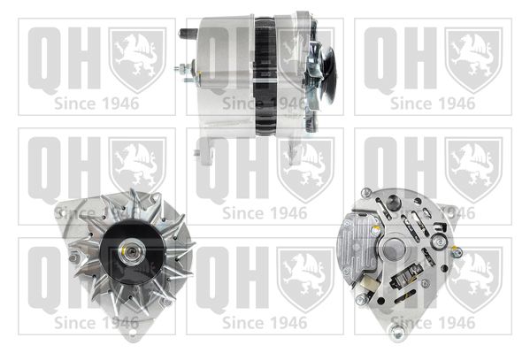 QH_QRA1460_GRUPPE.JPG