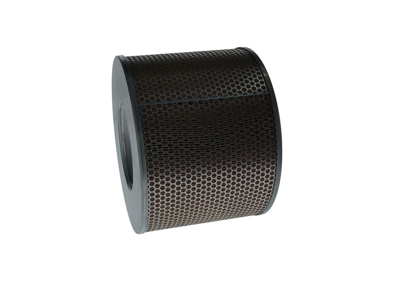BOSCH 1 457 429 779 Oro filtras
