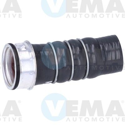 VE55968.JPG