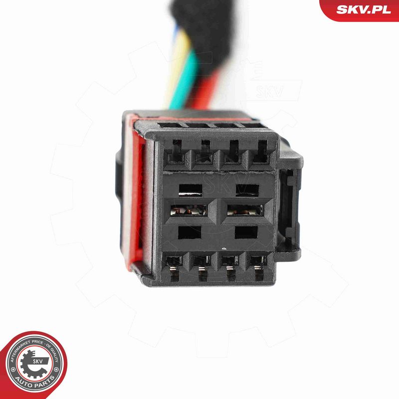 ESEN SKV 52SKV234 Electric Motor, tailgate