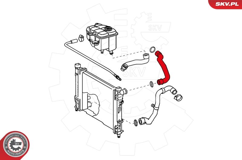 ESEN SKV 24SKV291 Radiator Hose