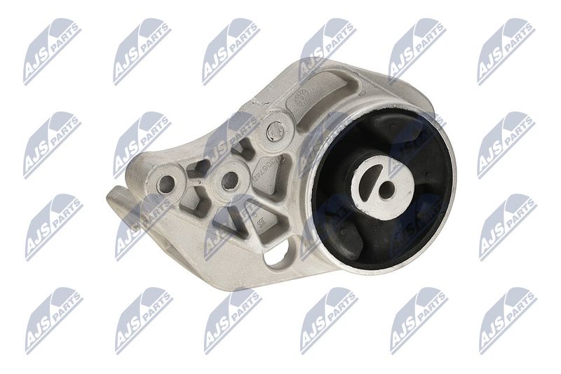 Paigutus, Mootor, NTY ZPS-CH-113