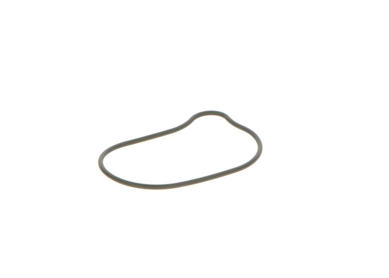 BOSCH 2440210028 Rubber Ring