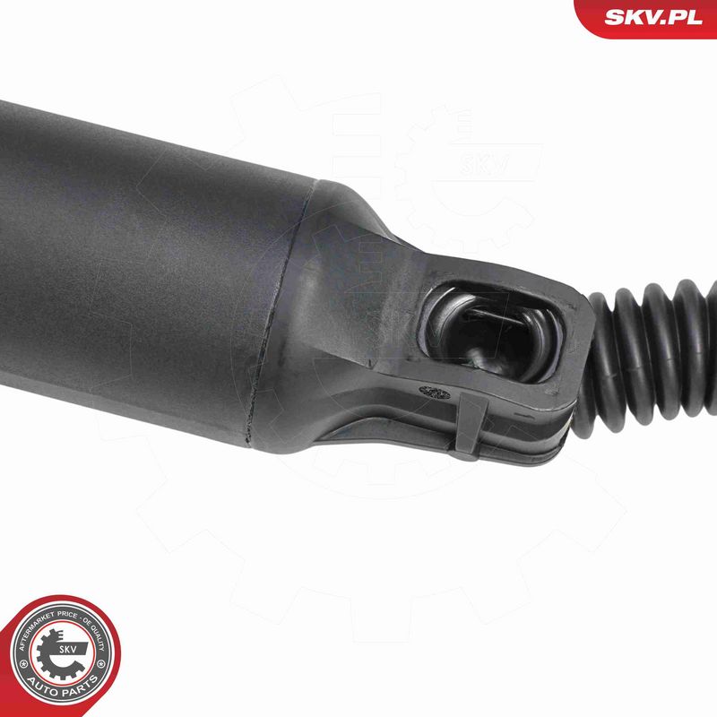 ESEN SKV 52SKV889 Electric Motor, tailgate