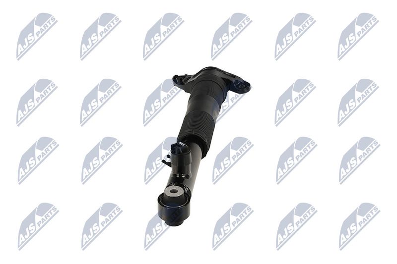 Amort, NTY A-LR-037
