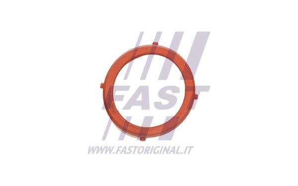 FT48813_3_1.JPG