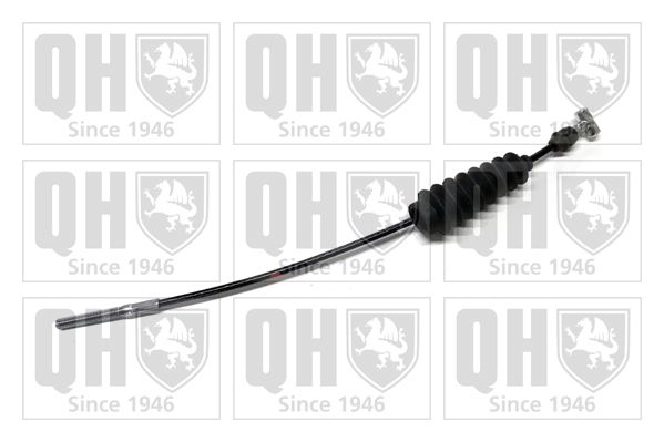 QH_BC3998.JPG