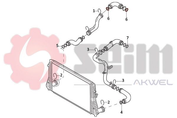981970_1.JPG